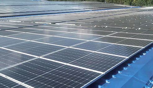 PV Module
