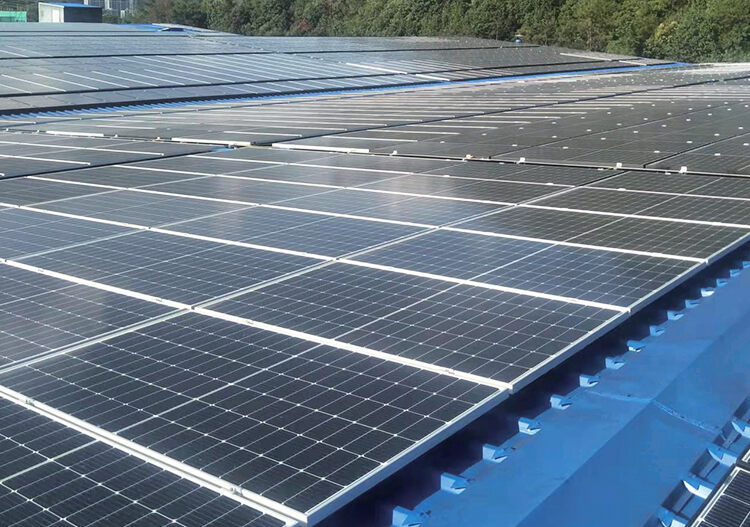 HL-132MHDRz (132-Cell Mono N-Type PRO Bifacial Half-Cut Module, 610-625W)